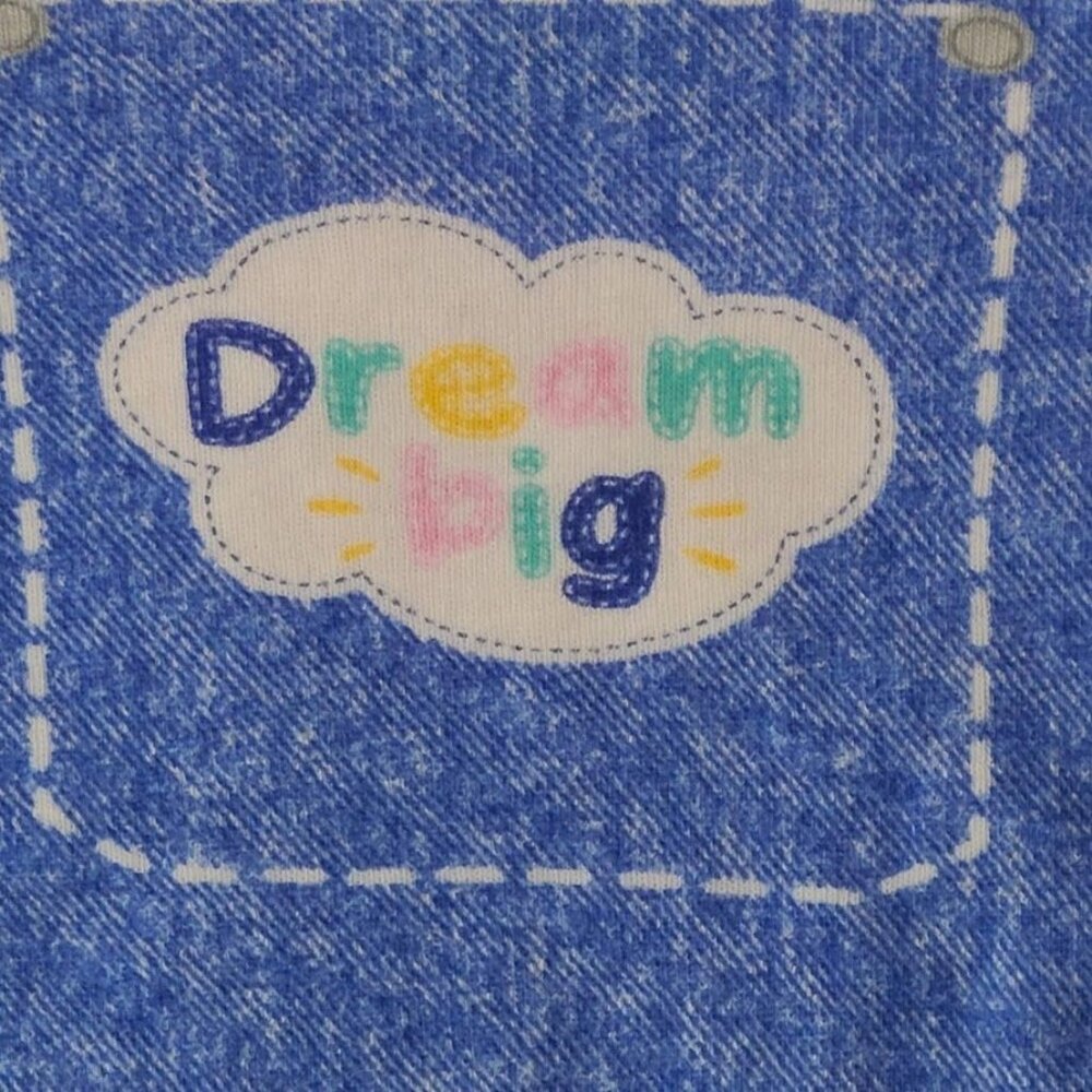 Ms. Rachel 2T Pink Long Sleeve Shirt Printed Overalls Dream Big Cloud Graphic - Picture 2 of 10